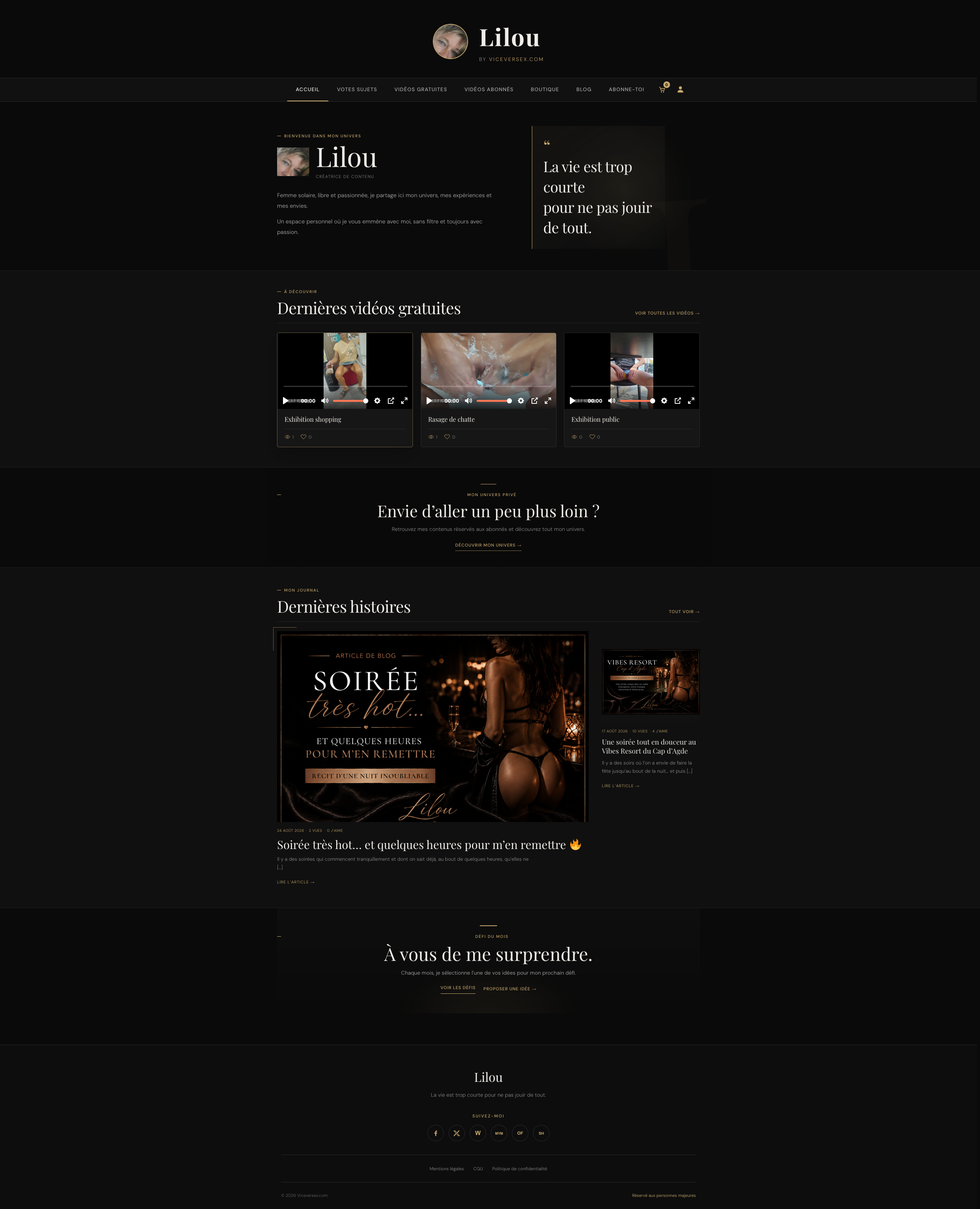 Version ordinateur du site Viceversex