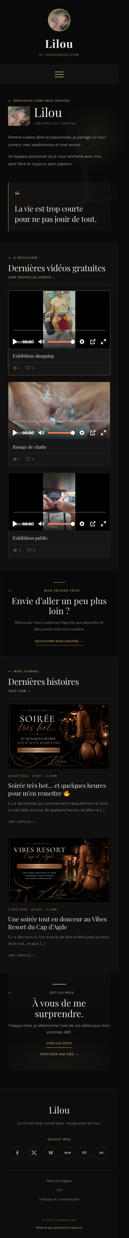 Version mobile du site Viceversex