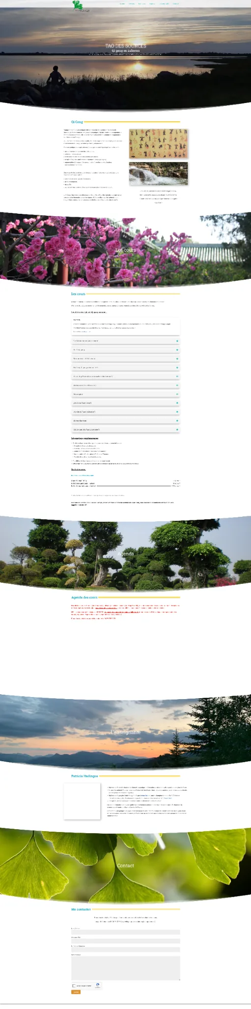 Version ordinateur du site Tao des Sources